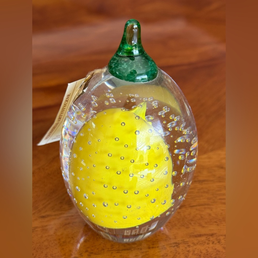 Rare Hand Blown Bubble Abstract Art Glass 🍋 paperweight made in Poland - Picture 4 of 6